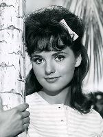 Dawn Wells