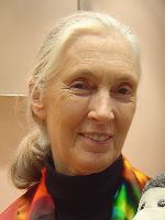 Jane Goodall